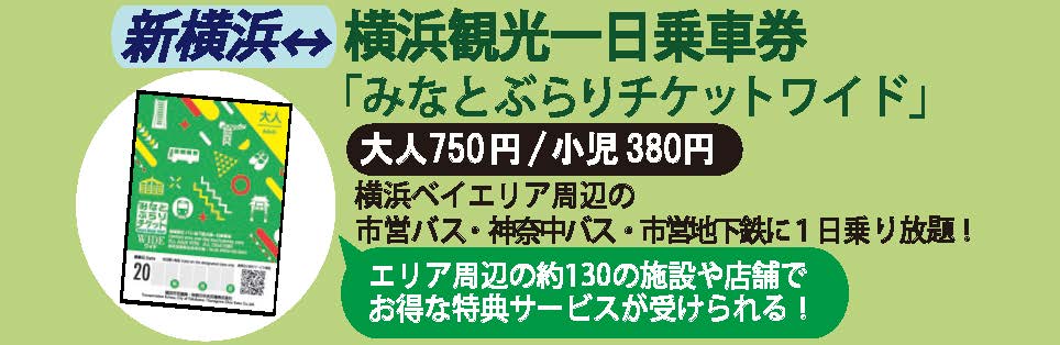 横浜ベイエリア1日乗車券