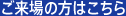 ご来場の方はこちら