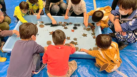 横浜・八景島シーパラダイス　ふれあい水族館