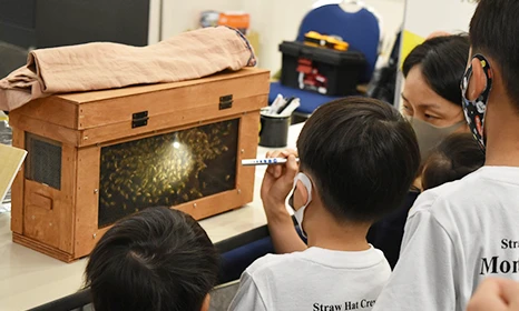 西武造園・横浜緑地　はち育グループ