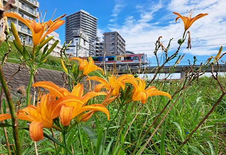 OE！yokohama