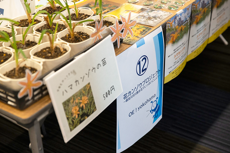 花カンゾウプロジェクト～鶴見川河川敷を花でいっぱいにしよう～