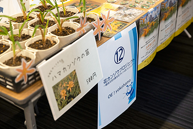 花カンゾウプロジェクト～鶴見川河川敷を花でいっぱいにしよう～