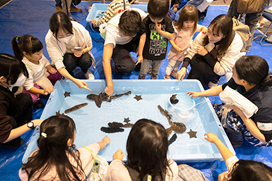 横浜・八景島シーパラダイス