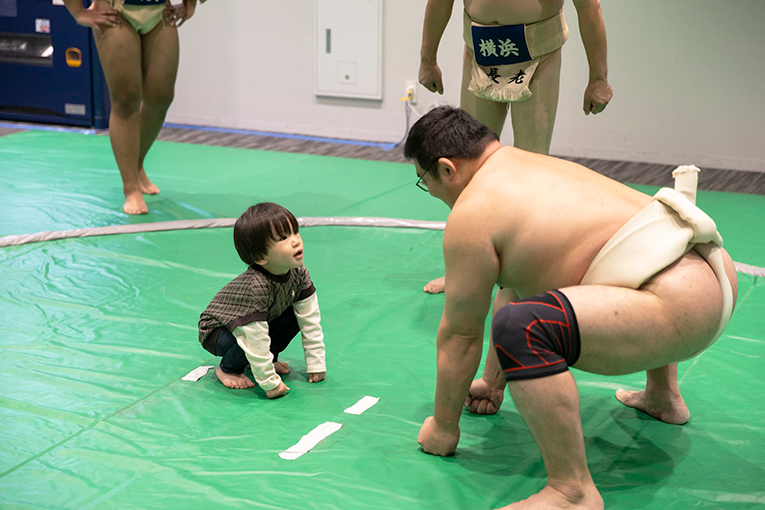 相撲体験