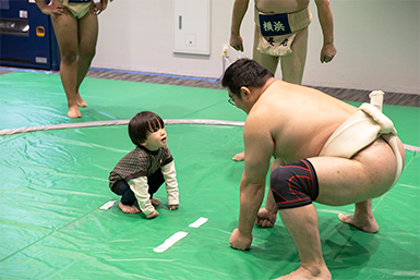 相撲体験